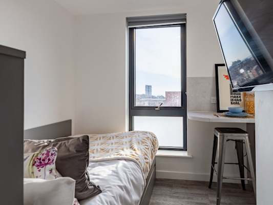 Sea View Studio room type